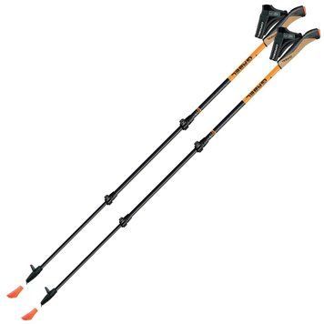 Палки для скандинавской ходьбы Gabel Carbon XT 3S-100 (7009351420000) DS_DAS302069 фото
