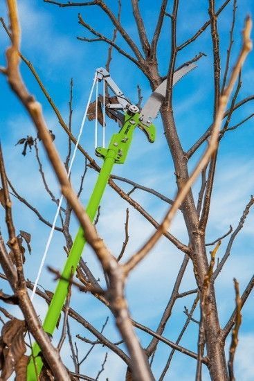 Сучкоріз висотний з ножівкою Verto, контактний, храповий механізм, d 30мм (сумісний зі штангою телескопічною 15g261) RC_15G260 фото