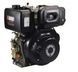 Дизельный двигатель Diesel engine 170F(E)