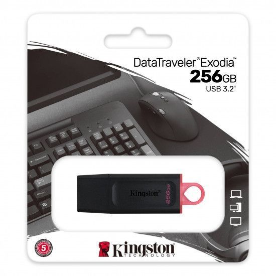 Накопичувач Kingston 256GB USB 3.2 Type-A Gen1 DT Exodia RC_DTX/256GB фото
