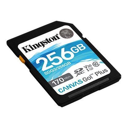 Карта пам'яті Kingston Canvas Go! Plus SD [SDG3/256GB] RC_SDG3/256GB фото