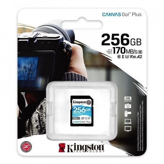 Карта пам'яті Kingston Canvas Go! Plus SD [SDG3/256GB] RC_SDG3/256GB фото