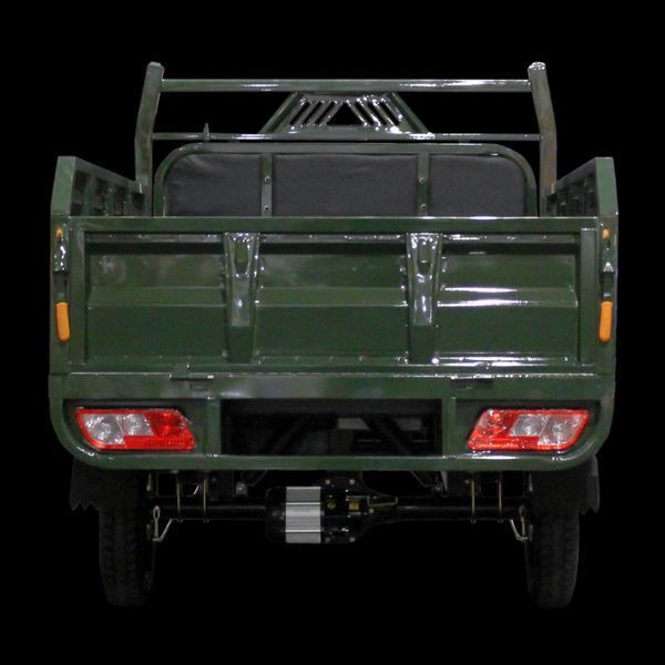 Електричний мопед TRIGO JJ1.6 1000W/60V/35AH(DZM) (зелений) LP_9956 фото