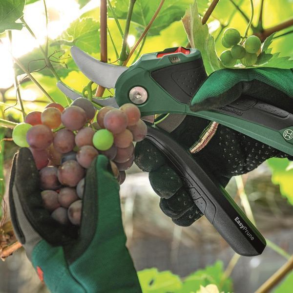 Bosch Секатор акумуляторний EasyPrune 0.600.8B2.102 RC_0.600.8B2.102 фото