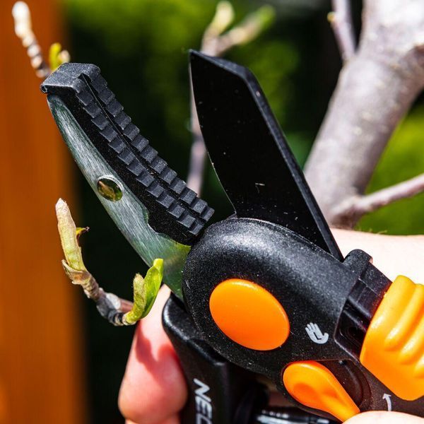 Секатор контактний Neo Tools, d різа 18мм, 200мм, 240г RC_15-203 фото