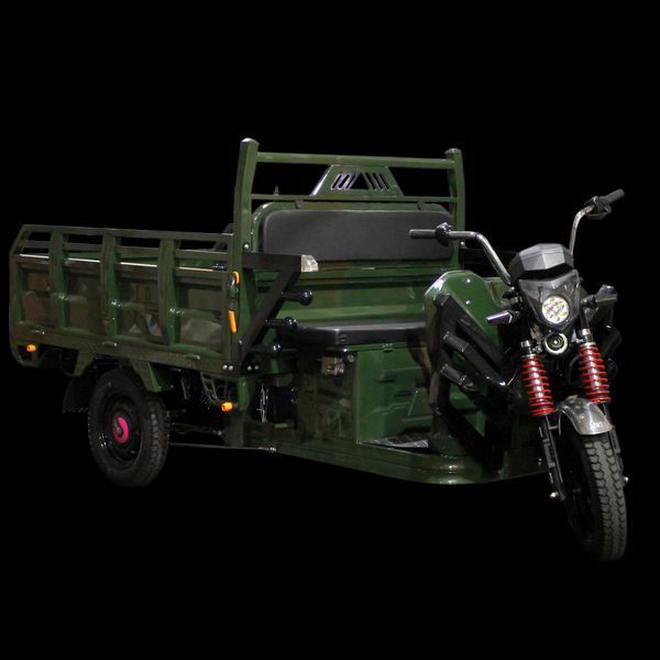 Електричний мопед TRIGO JJ1.6 1000W/60V/35AH(DZM) (зелений) LP_9956 фото