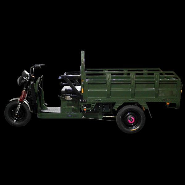 Електричний мопед TRIGO JJ1.6 1000W/60V/35AH(DZM) (зелений) LP_9956 фото