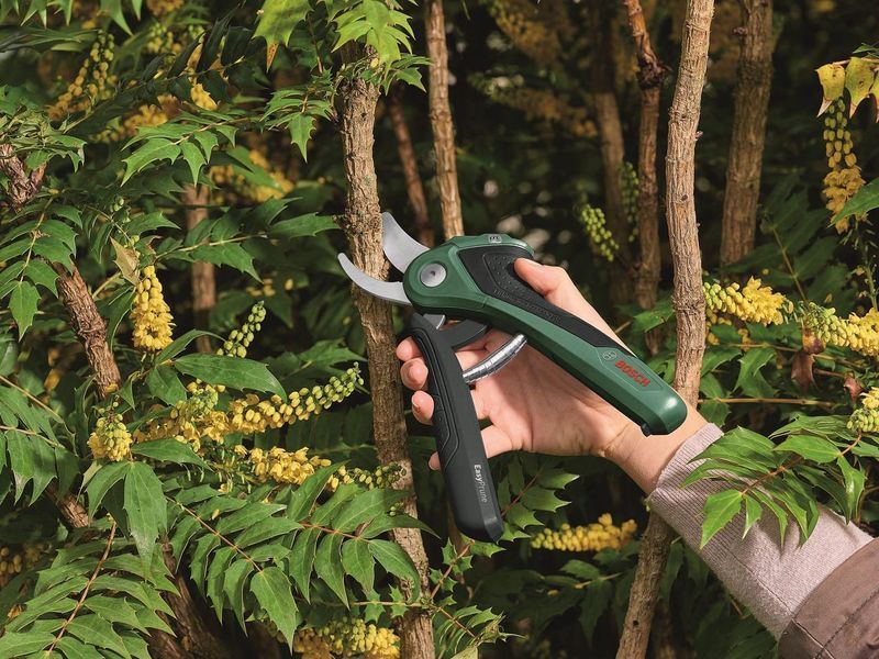 Bosch Секатор акумуляторний EasyPrune 0.600.8B2.102 RC_0.600.8B2.102 фото