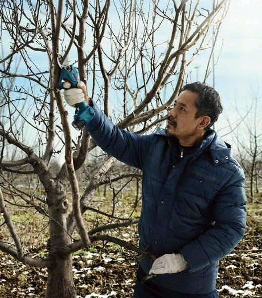 Секатор аккумуляторный Bosch Pro Pruner, 12В, 2х3Ач, d реза 25мм, 1000гр RC_0.601.9K1.021 фото