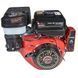 Двигун бензиновий Vitals GE 15.0-25ke IN_165174 фото 1