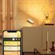 Hue Настольная лампа Iris, 2000K-6500K, Color, Bluetooth, димируемая, золотистая Philips RC_929002376401 фото 2
