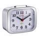 Годинник настільний Technoline Modell XL Silver (Modell XL silber) DS_DAS301820 фото 3