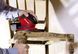 Шлифмашина вибрационная Einhell Expert TE-OS 1320 RC_4460560 фото 8