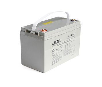 Аккумуляторная батарея HEGEL GEL 100-12 12V 100Ah ( 330x171x220 mm), 28kg U_37525 фото