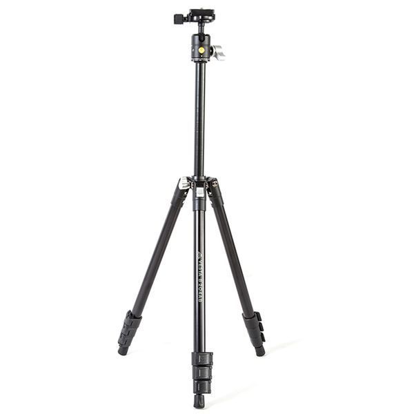 Штатив Vanguard Vesta FB 204AB (Vesta FB 204AB) DS_DAS301092 фото
