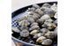Кругла порцелянова решітка з отворами Big Green Egg 16PH GR_003113 фото 1