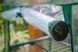 Парник складной Neo Tools 160х69х49, 4 полки, ПВХ пленка, прозрачный RC_15-901 фото 4