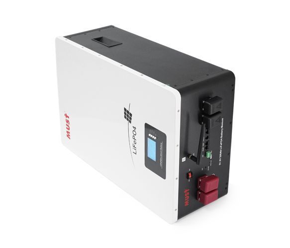 Акумуляторна батарея Must LiFePO4 LP16-48200 51.2V 200Ah, 10,24kWh, BMS100A@16S, CAN2.0/RS232/RS485, 6000 cycles, 625x442x250, 80 U_32863 фото