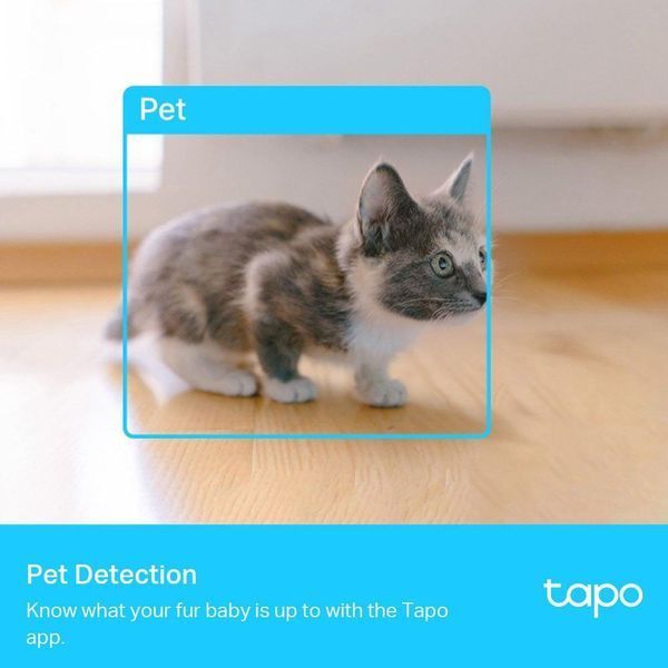 IP-камера TP-LINK Tapo C225 3MP N300 microSD motion detection 360&deg; mic RC_TAPO-C225 фото