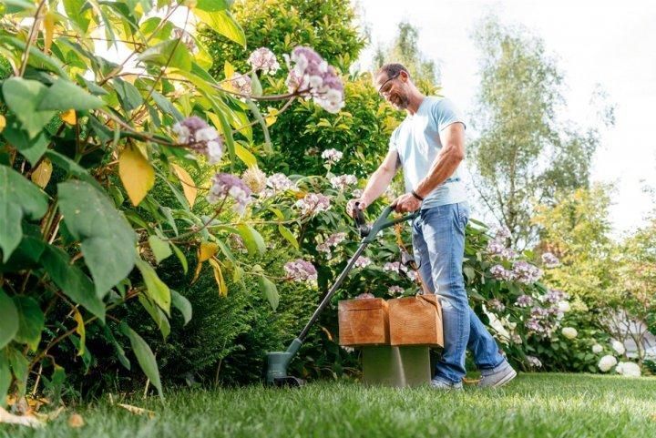 Триммер садовый Bosch EasyGrassCut 26 280Вт 26см 1.9кг RC_0.600.8C1.J01 фото