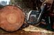 Акумуляторна ланцюгова пила Metabo MS 36-18 LTX BL 40 (каркас) HY_90114503 фото 3