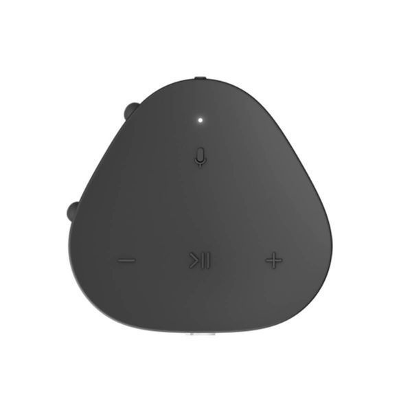 Портативная акустическая система Sonos Roam, Black RC_ROAM1R21BLK фото