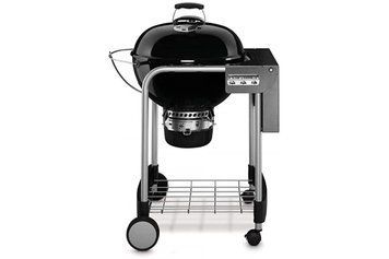 Угольный гриль Performer-Original GBS 57 см Weber 15301004 GR_003479 фото