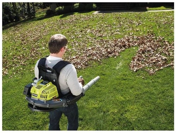 Бензиновая воздуходувка Ryobi RBL42BP (5133001879) HY_5133001879 фото