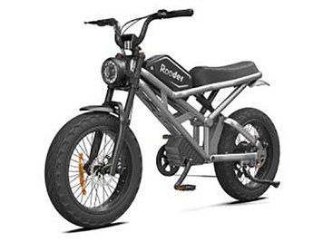 Електровелосипед Rooder 1000W, 48V25Ah, Silver (4825Sl) OL_00000062039 фото