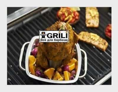 Стійка для курки з піддоном для жиру Broil King 69133 GR_003332 фото