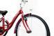 Велосипед трехколесный грузовой Ardis Meridian 24 AMA_Velo1_red фото 8