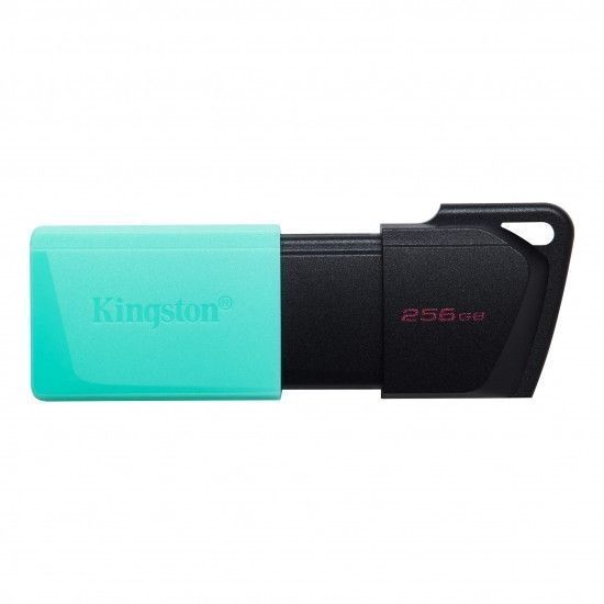 Накопичувач Kingston 256GB USB 3.2 Type-A Gen1 DT Exodia M Black Teal RC_DTXM/256GB фото