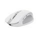 Миша Trust OZZA compact, BT/WL/USB-A, білий RC_24933_TRUST фото 3