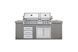 Вбудований газовий гриль Prestige PRO-825 Napoleon BIPRO825RBIPSS GR_004255 фото 1