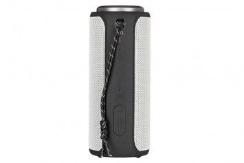 Акустическая система 2E SoundXTube TWS, MP3, Wireless, Waterproof Grey RC_2E-BSSXTWGY фото
