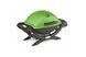 Газовий гриль Q1200 Weber GREEN 51120075 GR_006104 фото 4