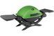 Газовий гриль Q1200 Weber GREEN 51120075 GR_006104 фото 1