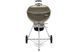 Угольный гриль Master-Touch GBS E-5750 серый Weber 14710004 GR_005509 фото 1