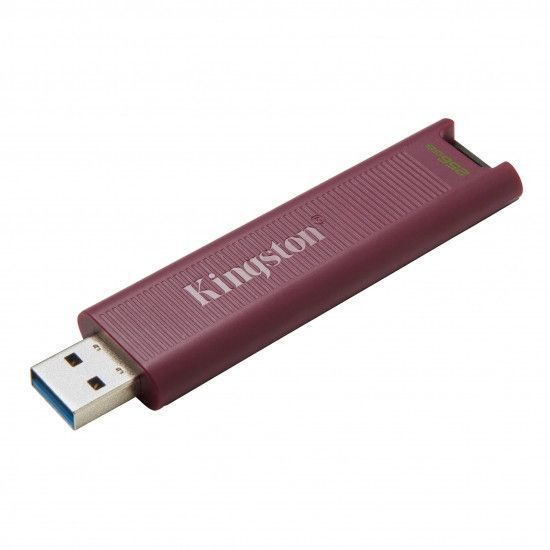 Накопичувач Kingston 256GB USB 3.2 Type-A Gen 2 DT Max RC_DTMAXA/256GB фото