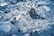 Лазерний далекомір Bosch GLM 50-27 CG (0601072U01) RC_0.601.072.U01 фото 8