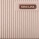 Б'юті-кейс Semi Line 4.5L Champagne (T5666-1) DS_DAS302648 фото 7