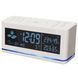 Метеостанция Technoline WS6850 White (WS6850) (без аккумулятора и зарядного устройства) DS_DAS301784 фото 8