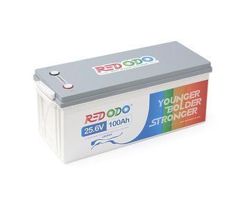 Акумуляторна батарея Redodo 25.6V 100Ah 2560Wh LiFePO4 (100/100A)(532*207*215) U_38197 фото