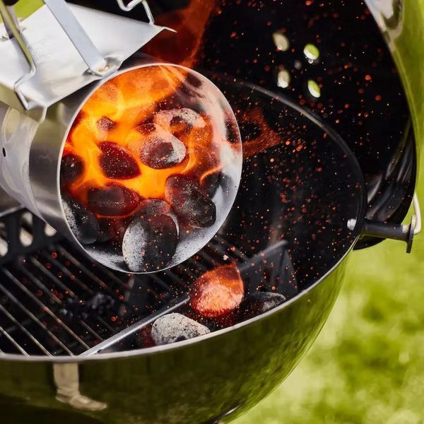 Брикети кокосові 8 кг Weber 18402 GR_010806 фото