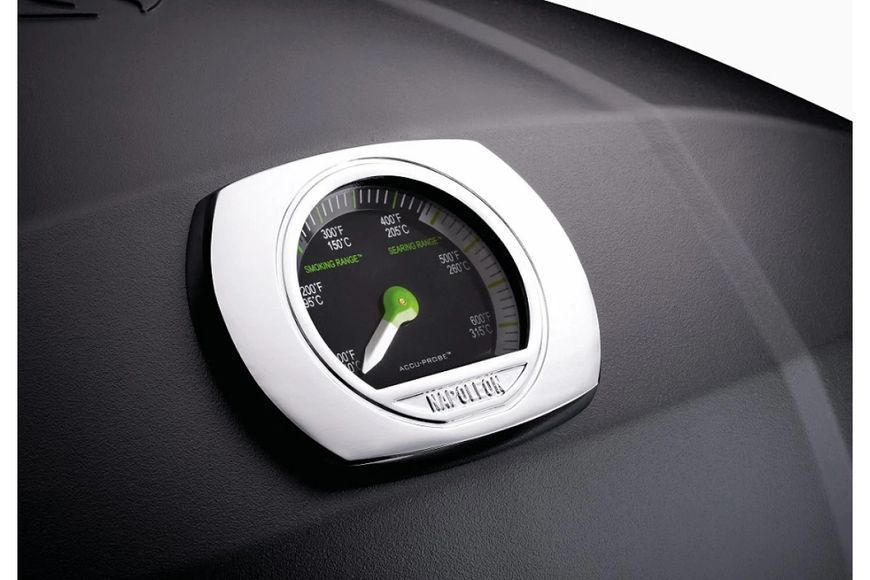 Электрический гриль TravelQ PRO-285E Napoleon PRO285E-BK-CE GR_005746 фото