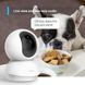 IP-камера TP-LINK Tapo C210 3MP N300 microSD motion detection RC_TAPO-C210 фото 3