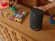 Портативна акустична система Move, Black Sonos RC_MOVE1EU1BLK фото 2