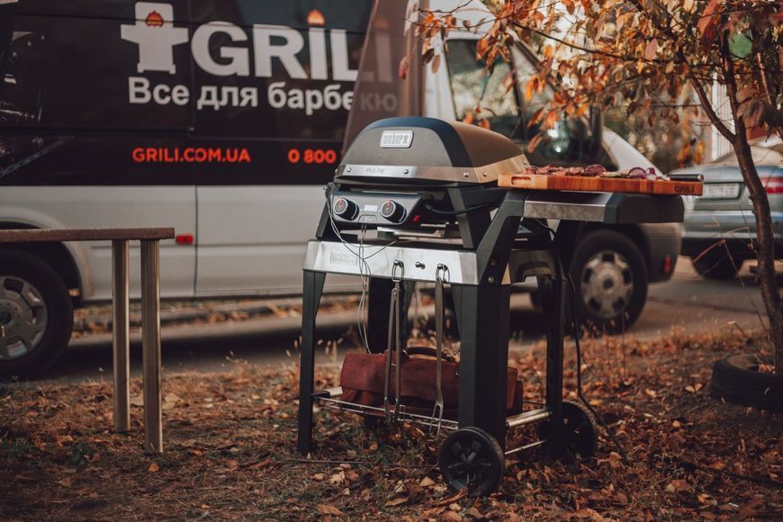 Електричний гриль Pulse 2000 із підставкою Weber 85010079 GR_005216 фото