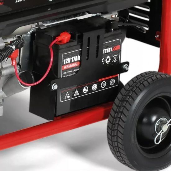Бензиновый генератор Einhell TC-PG 8000 230В/400В, 3.3/8.0кВт, электростартер, AVR 25л, 96.74кг RC_4152640 фото