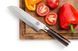 Професійний ніж із дамаської сталі Santoku GRILLI 88871 GR_012180 фото 7